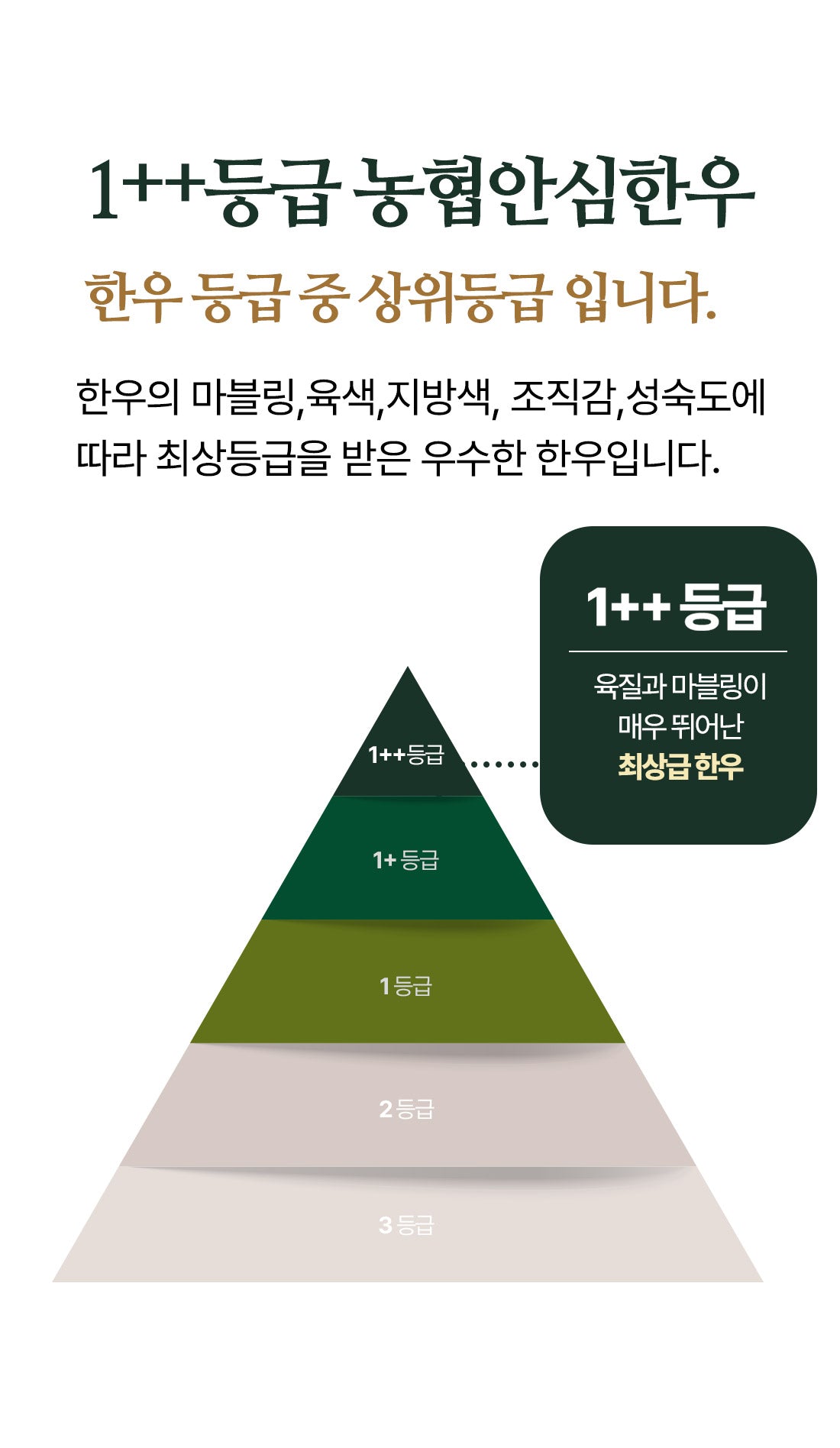 농협안심한우 1++등급 '투뿔구이 한가득' 선물세트 1.5kg(등심600g+안심300g+채끝300g+갈비살300g) - slot 1 - detail_page_desk