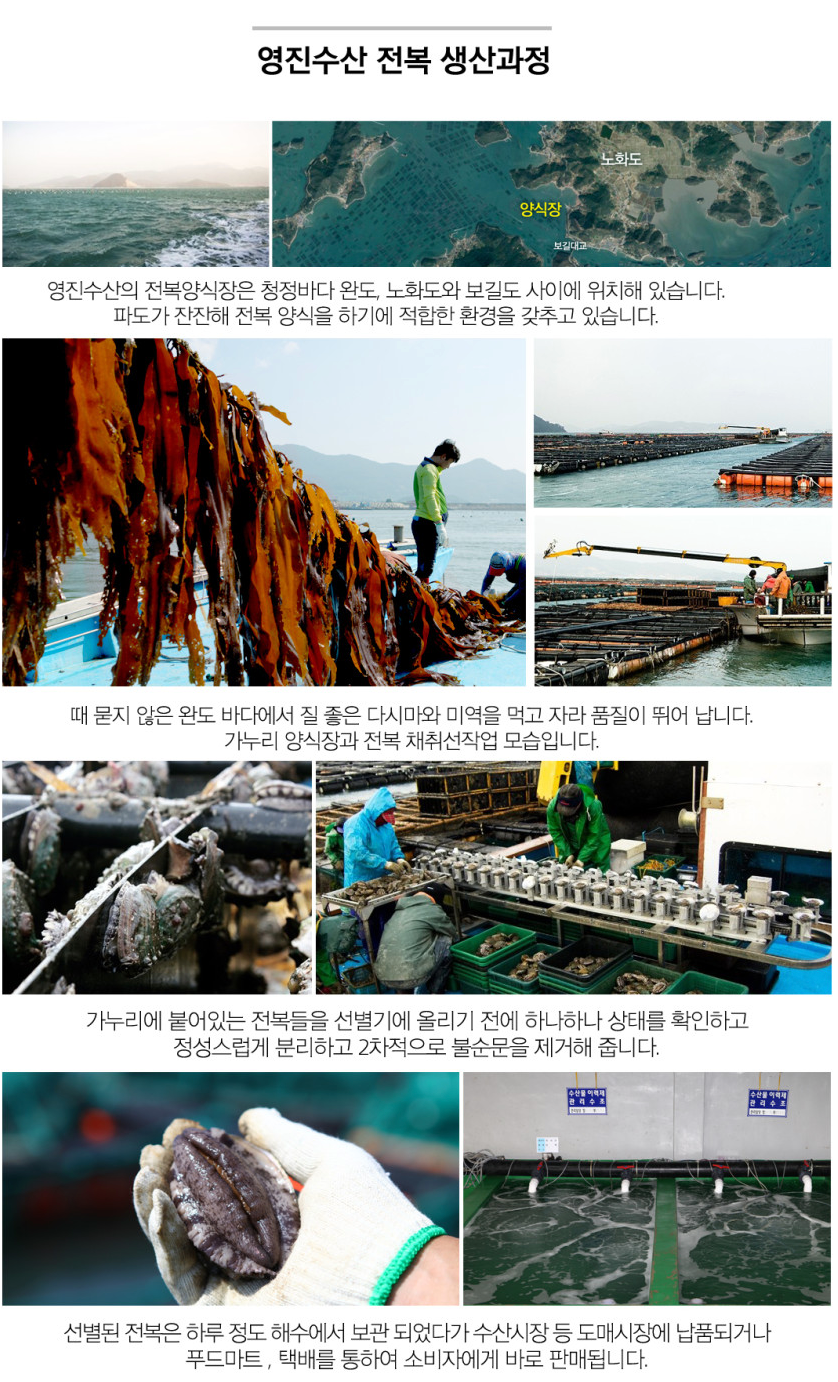 [베스트셀러] 완도 활전복 9미(특대) + 20미(구이용)/2kg - slot 1 - detail_page_desktop